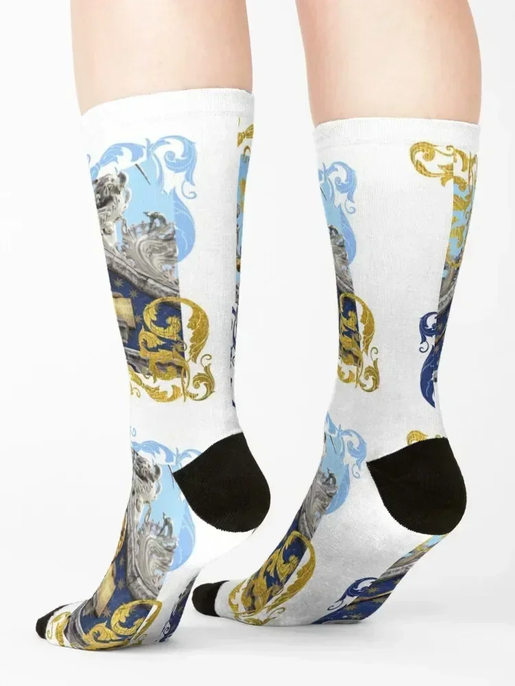 Saint Mark Winged Lion - Venice, Italy (Original Photography by AliceCCI) Arabesque Socks Children's floor Socks For Girls Men's