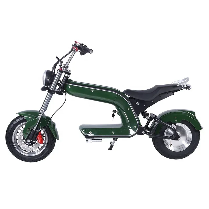 2024 New Two Wheeled Electric Motorcycle Scooter 12 Inch Fat Tire Off Road Electric Scooter