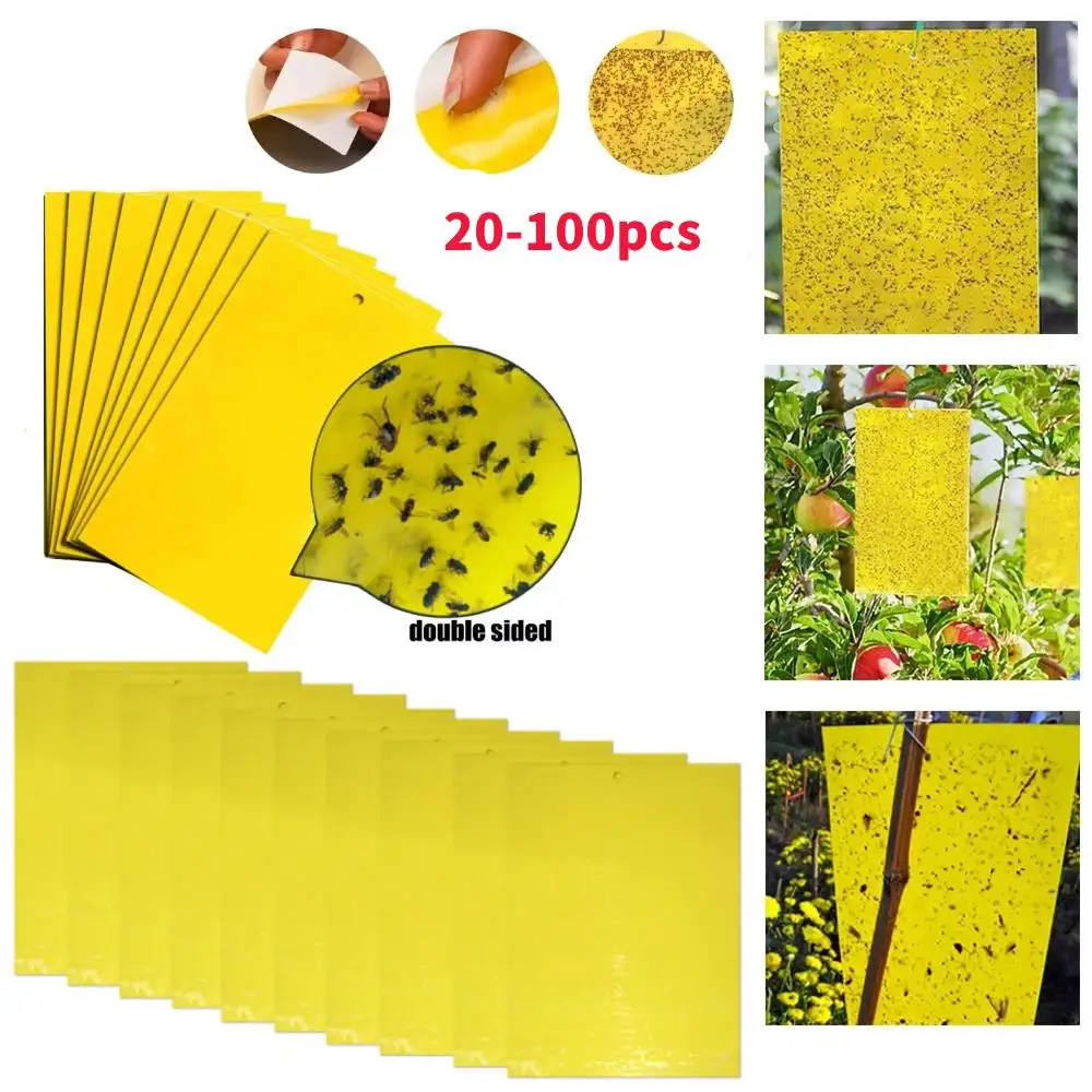Trampas para moscas de la fruta, 20-100 unidades, trampas adhesivas amarillas para insectos, control de plagas, trampa de papel adhesivo de doble cara para matar plagas ﻿