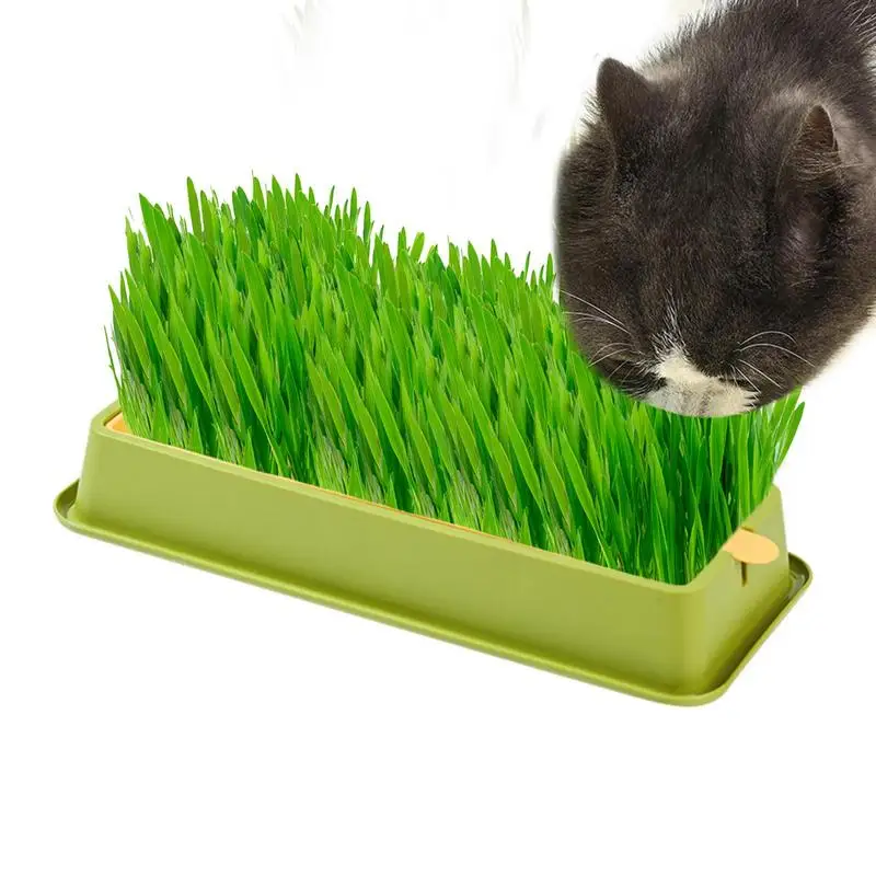 Cat Grass Planter Layered Cat Plant Soilless Convenient Cat Grass Kit 4 Styles Pet Supplies Multifunctional For Veterinary