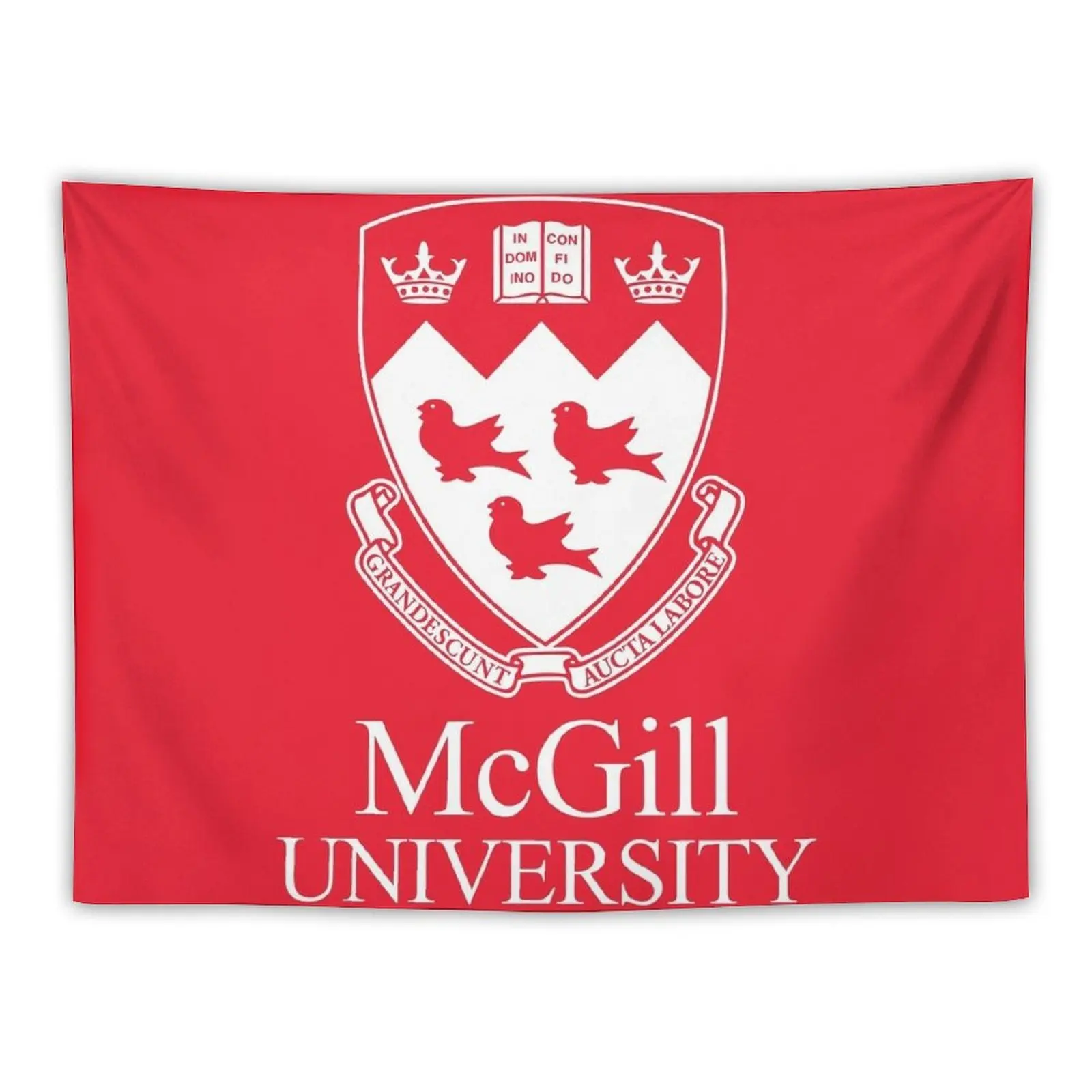 

McGill University Tapestry Decorative Wall Room Decore Aesthetic House Decoration Tapestry