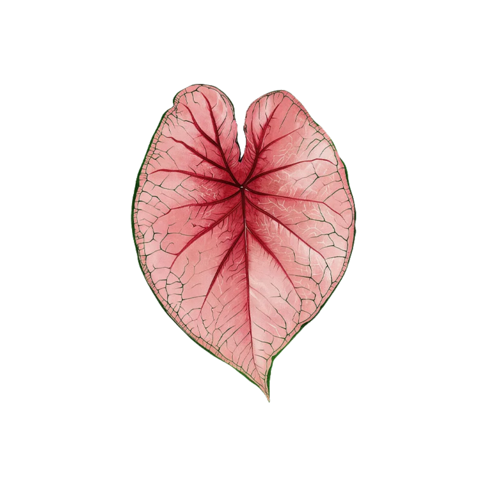 Acrylic Green Leaf Coaster Anti Slip Irregular Shape Plant Leaf Cup Mat Easy to Clean Heat Insulation Cup Pad