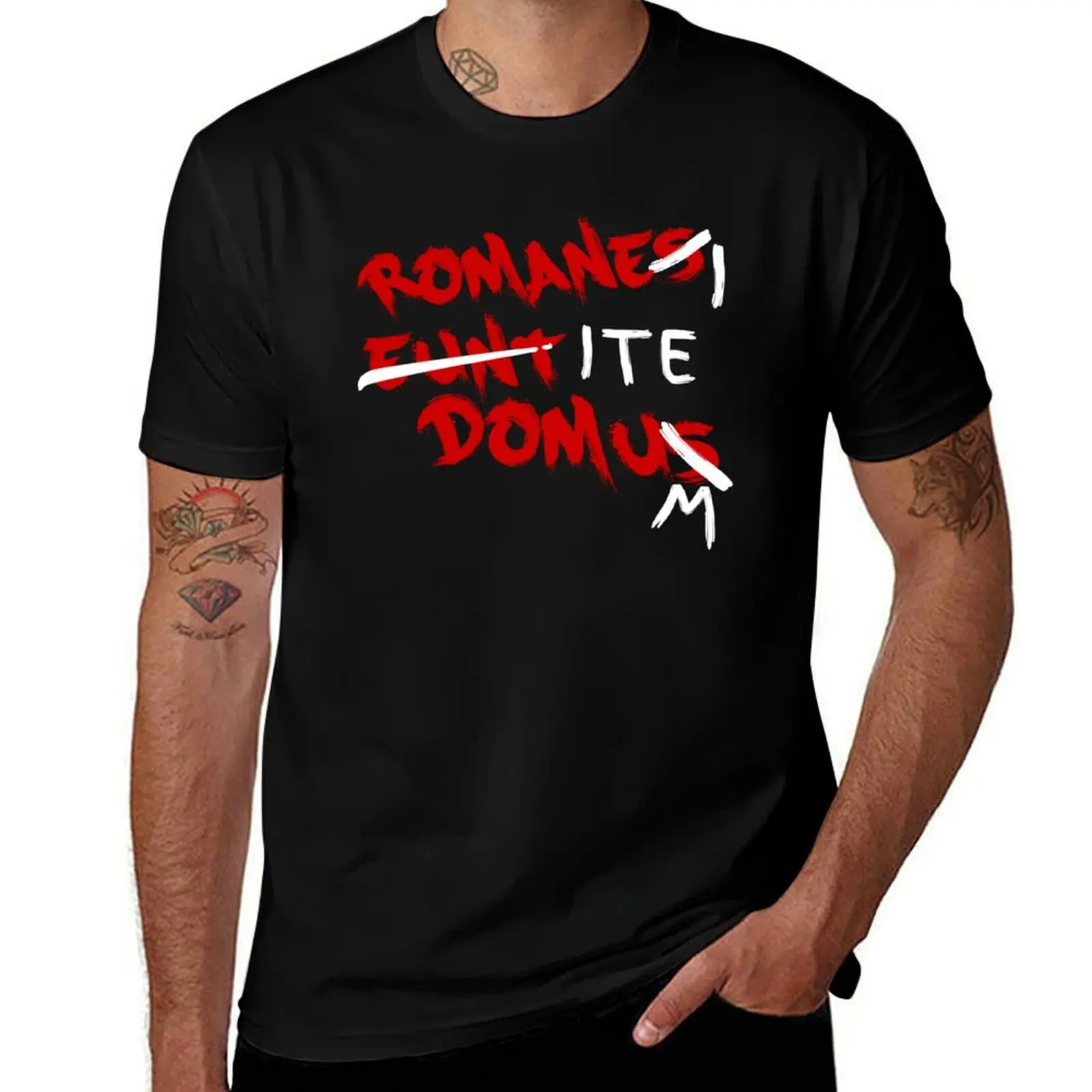 Romanes Eunt Domus - Romans Go Home T-Shirt graphic shirts cheap stuff shirts graphic tee kawaii clothes clothing for men