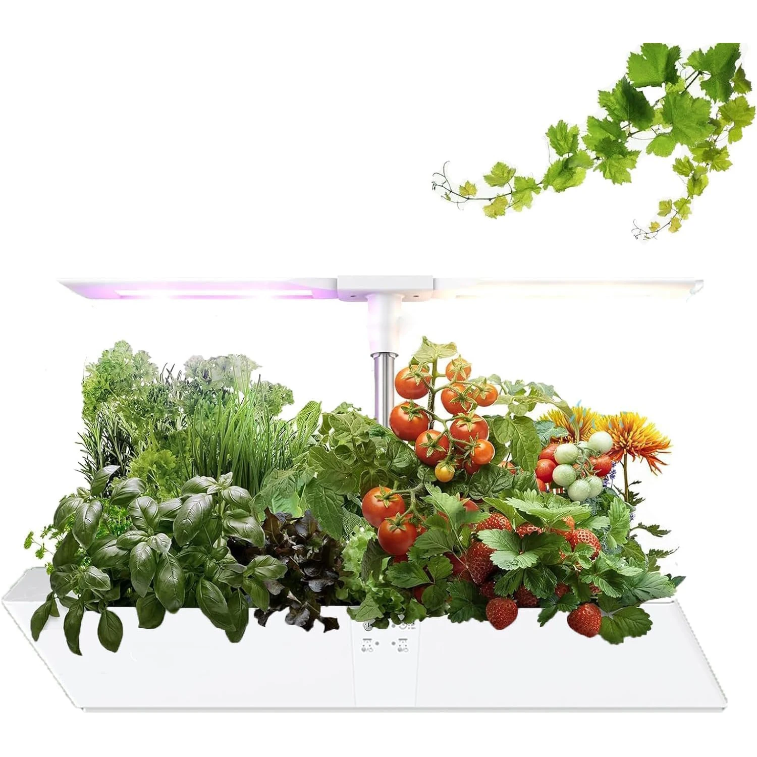 نظام زراعة مائية للحديقة الداخلية ، طقم حديقة عشبية ، ضوء نمو LED لطيف كامل ، 12 بودس ، 24 واط ، 5 ألوان