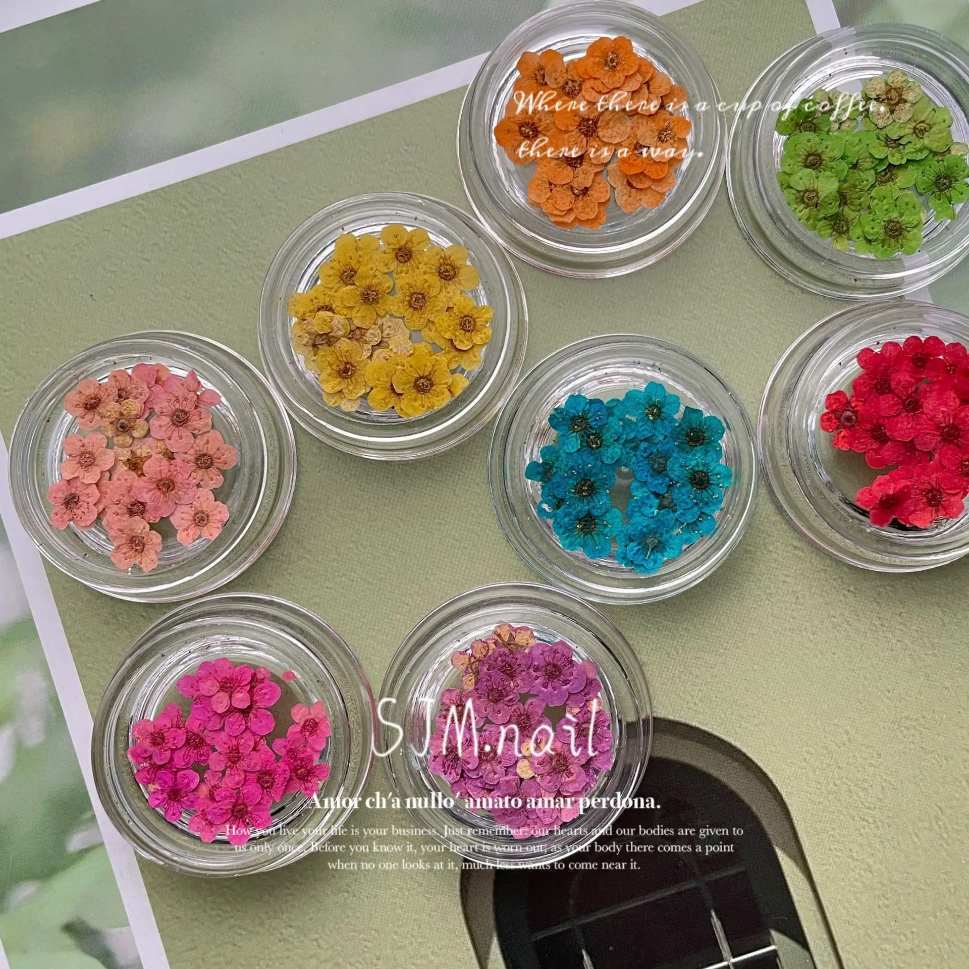 10Pcs/Box 3D Natural Dry Flowers Nail Art Decoration Real Dried Flower Stickers Charms Designs DIY Manicure Nails Accessories &^