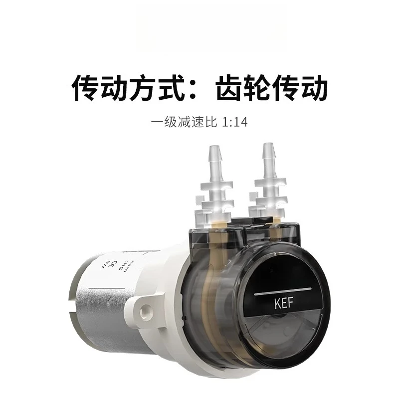12v Micro Pump Electric Circulation Pump 24v Pump Head Motor Laboratory KEF Pumping
