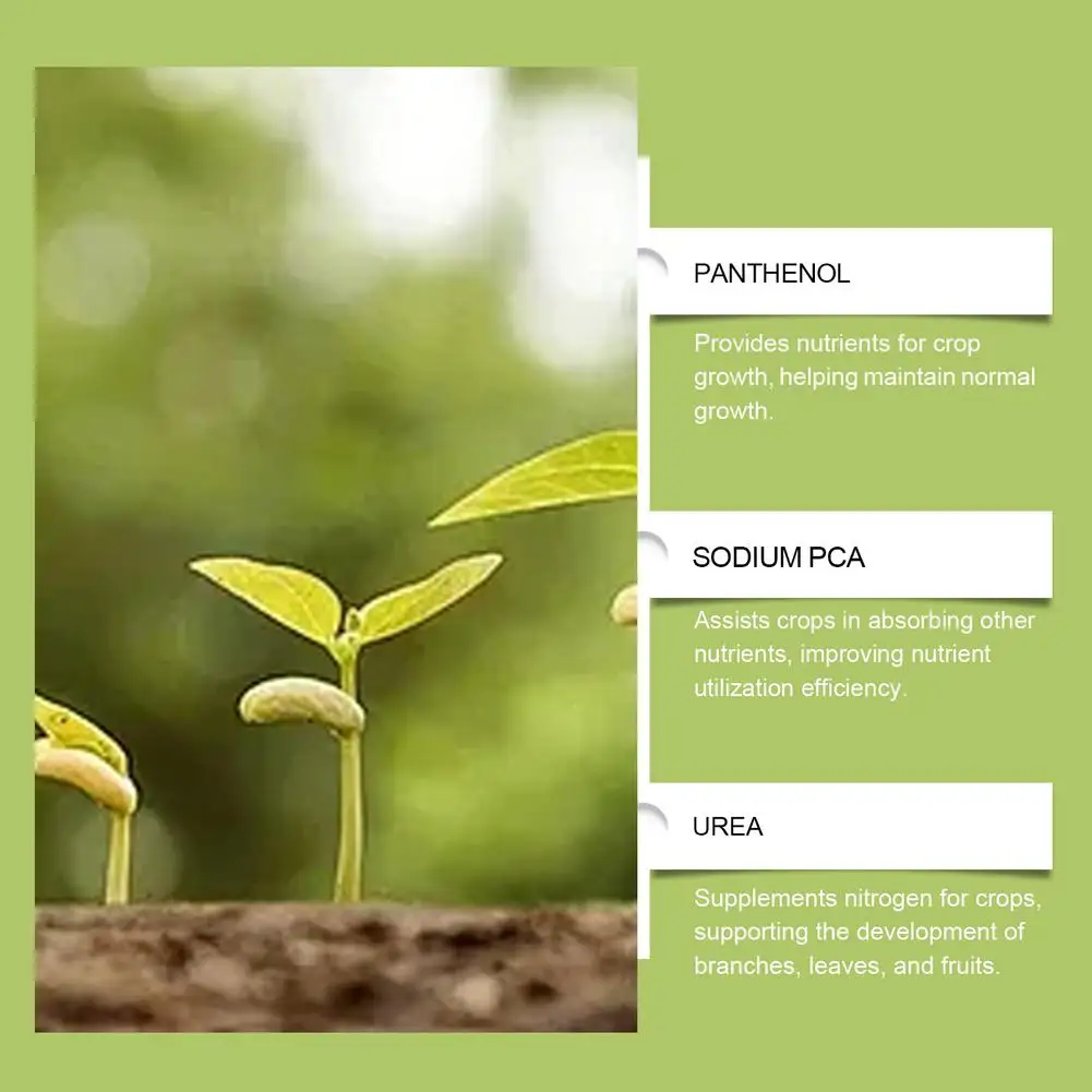 قطرات تغذية النباتات، الأسمدة السائلة المحددة للنباتات الخضراء الداخلية، قطرات تقوية الجذر والصيانة لتعزيز الجذر