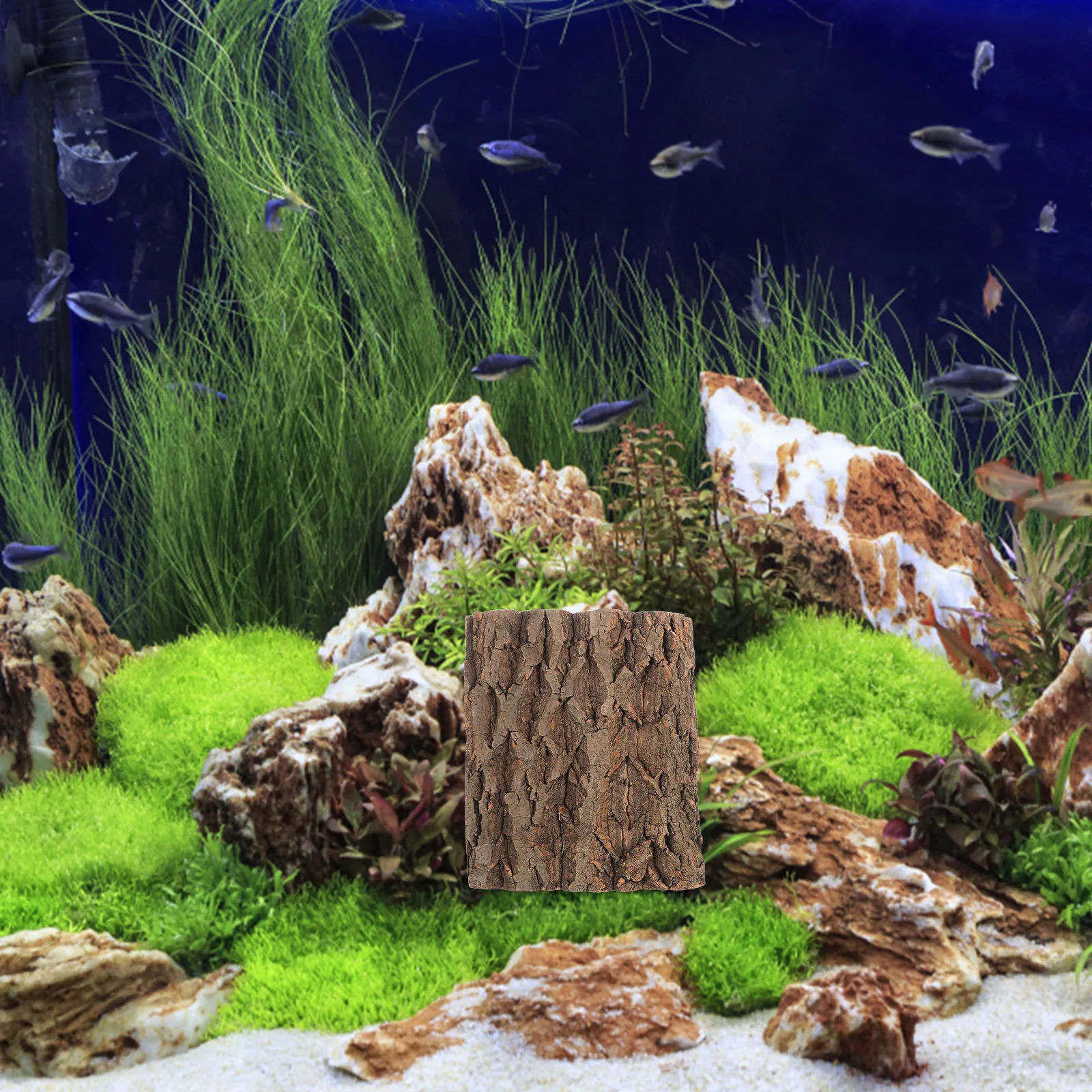 

2pcs Decorative Cork Background For Terrariums Reptile Tank Accessories Realistic Habitat Decoration Fish Aquarium Driftwood