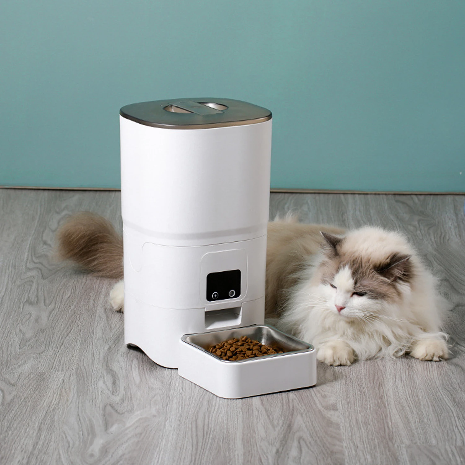 

6L Automatic Pet Feeder Intelligent Cat Dog Feeding Machine Timed Quantitative Small Dogs Cats Intelligent Feeder