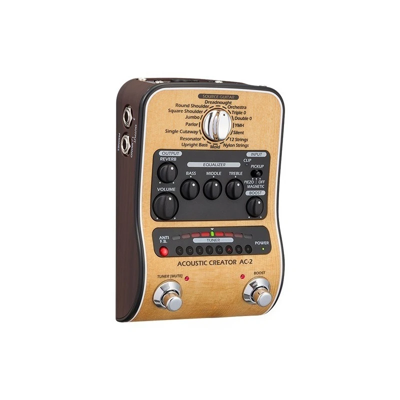 Original sound folk acoustic guitar playing and singing electric box piano delayed reverb fingerstyle effect