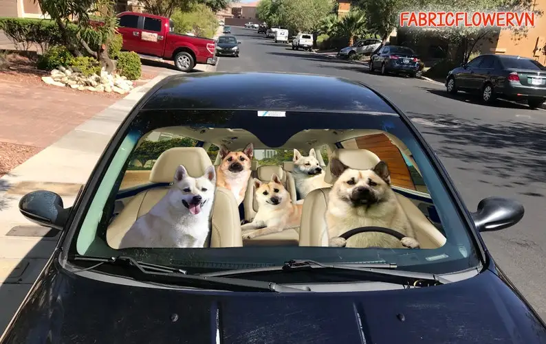 Norwegian Buhund Car Sunshade, Norwegian Buhund Car Decoration, Dogs Windshield, Dog Lovers, Dog Car Sunshade, Gift For Mom, Gif