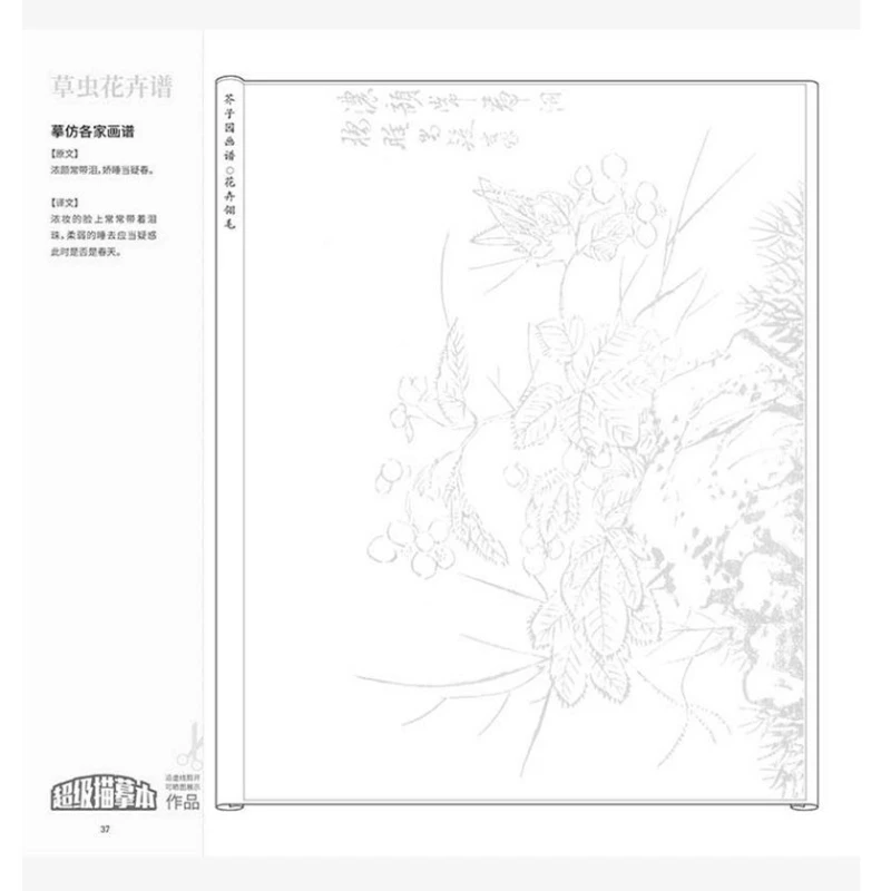 Ligne de peinture chinoise à main levée, brouillon méticuleux de fleurs de paysage, cahier de copie de cahier de copie de graine de moutarde de jardin