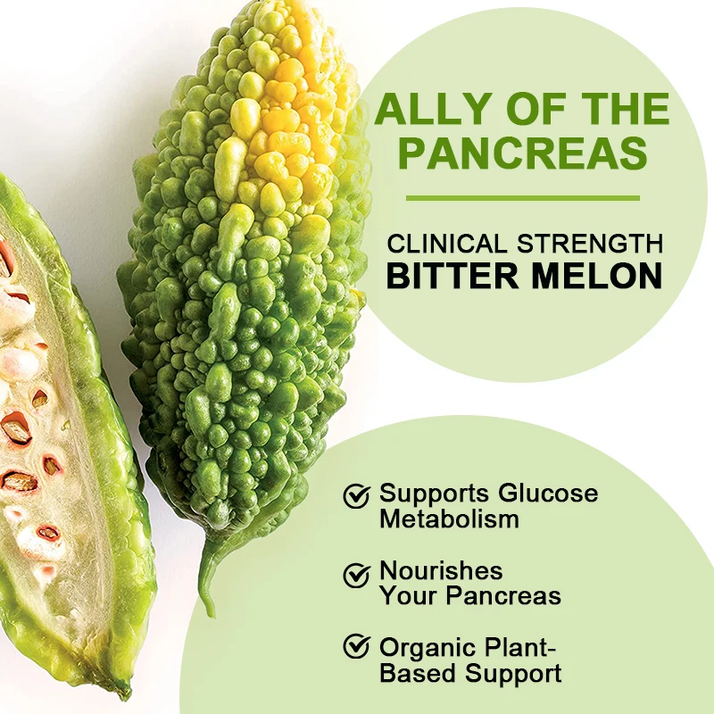 Bitter Melon Capsule Diabetic Patients Must Buckwheat Mulberry Leaf Capsule Elderly Auxiliary Hypoglycemic Drugs