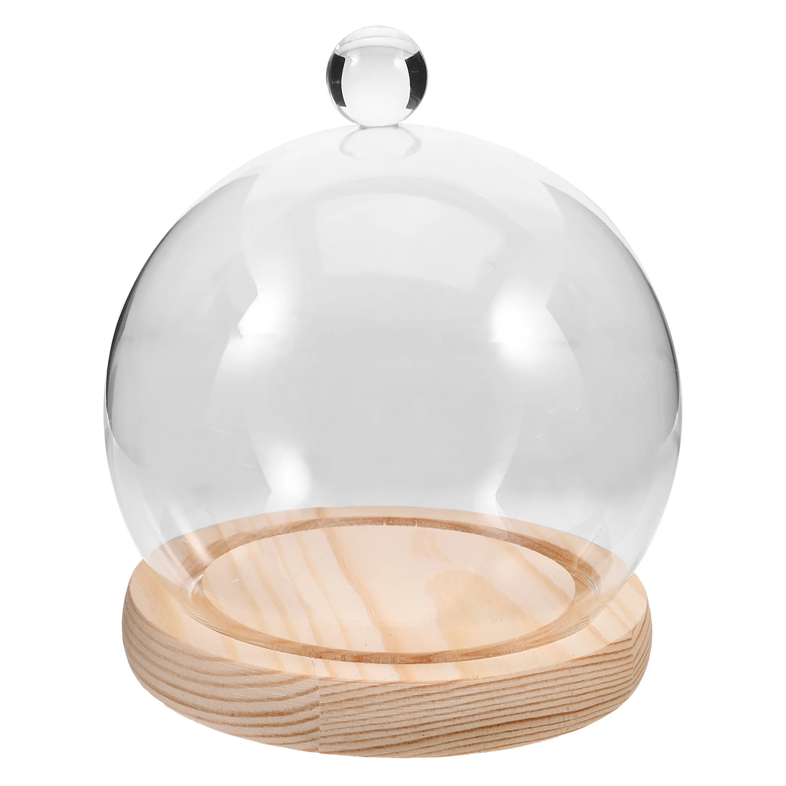 

Glass Dust Cover 12 Glass Dome With Base Clear Landscape Covers Preserved Flower Vase Decor Desktop Garden Display