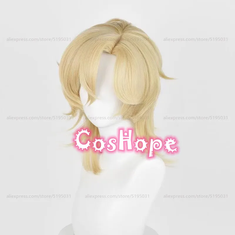 HSR Aventurine Cosplay Wig 40cm Short Hair Golden Wig Cosplay Anime Cosplay Wigs Heat Resistant Synthetic Wigs