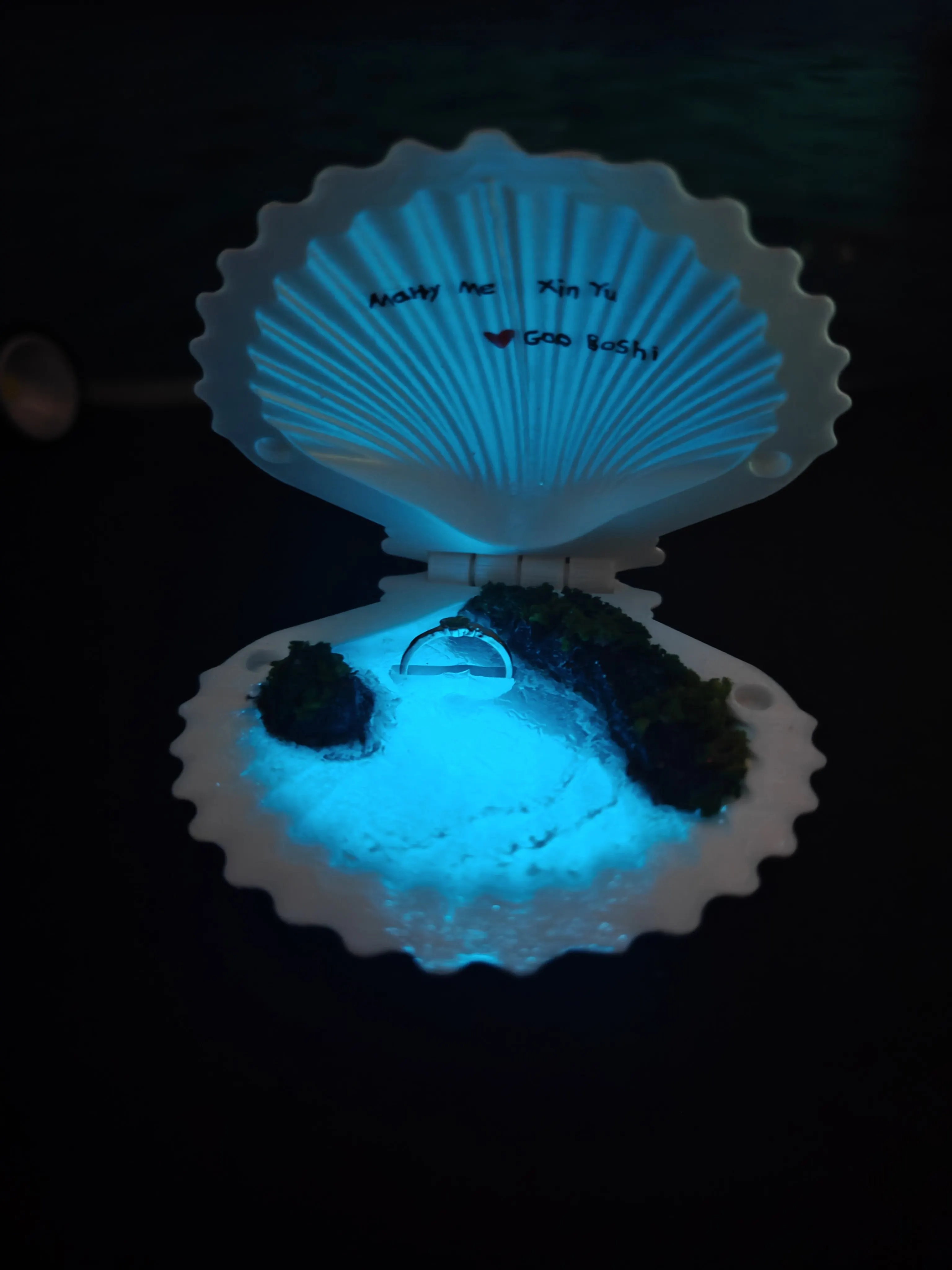 Glow in Dark Ocean Shell Ring Box Jewelry Case with Blue Light for Engagement Wedding Proposal Gift 3D Printed Creative Handmade