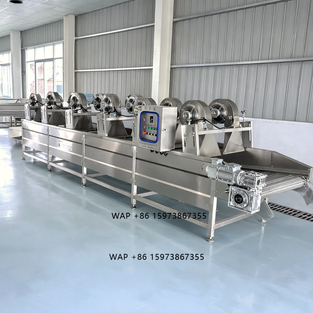 

Automatic Industrial Fruit Vegetable Washing Line for Potato Tomato Stainless Steel 304 High Efficiency