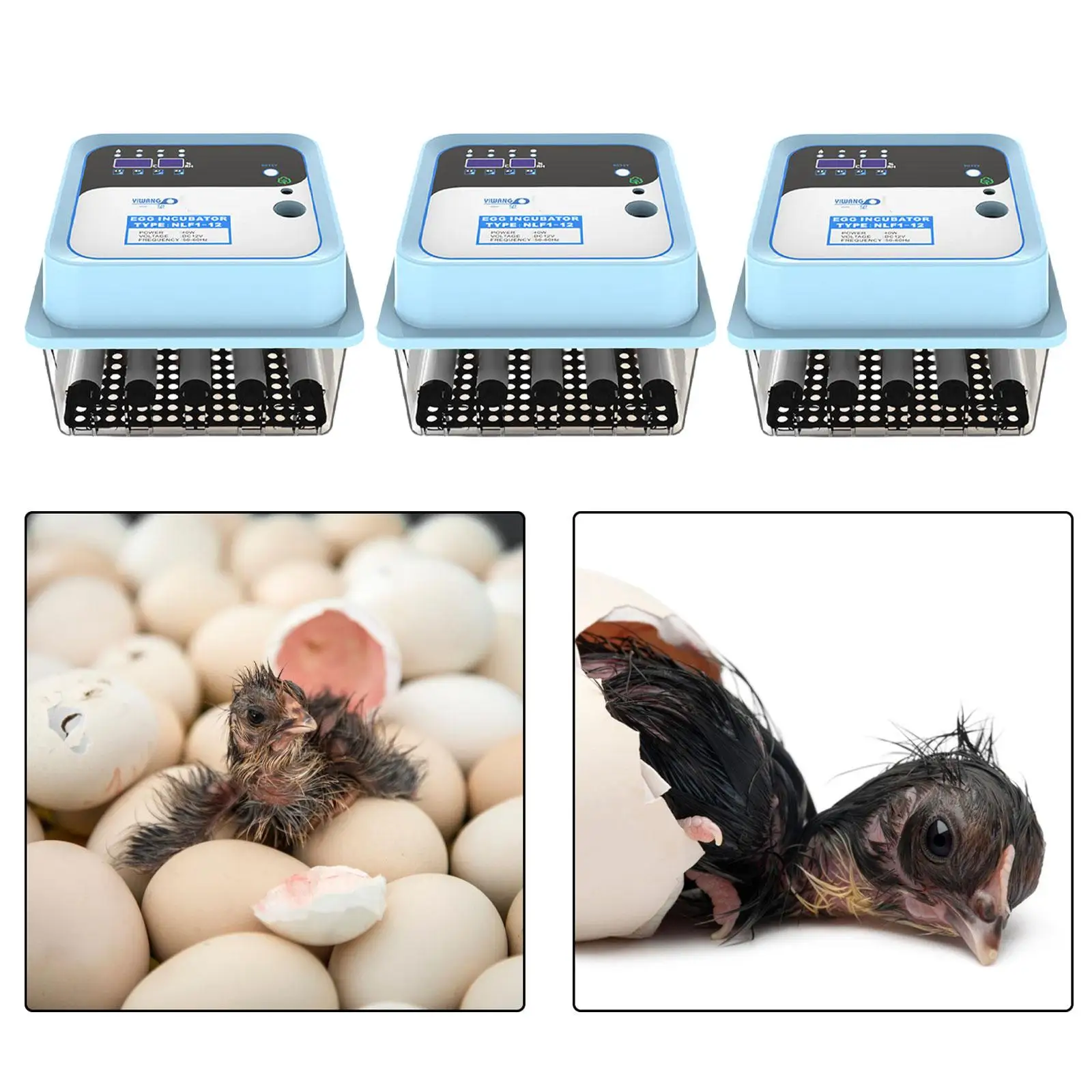 Automatic Egg Incubator Digital Automatic Egg Turner Poultry Hatcher Chicken Incubator for Quail Birds Pigeon Goose EU Plug