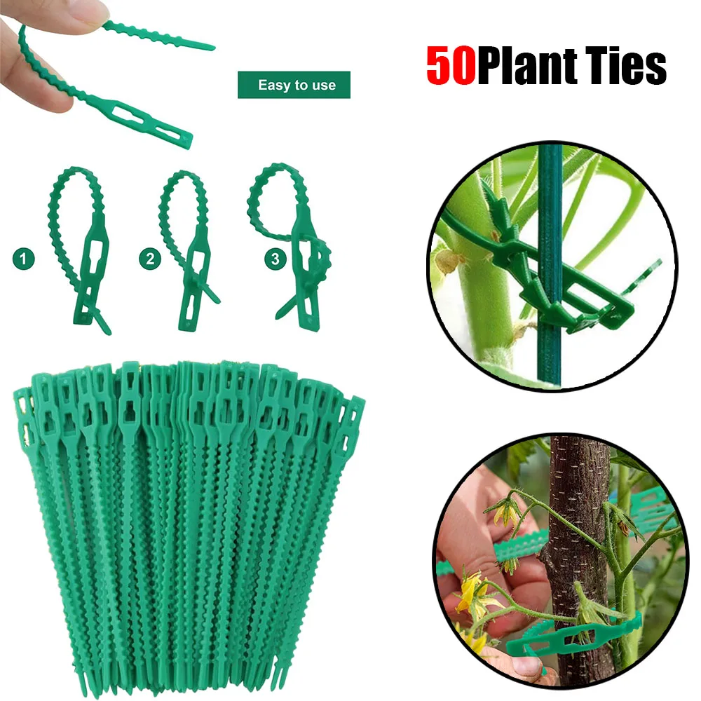 50 buah ikatan kabel untuk tanaman kualitas mengunci sendiri plastik dapat digunakan kembali tanaman pengikat tetap Zip Loop aksesoris berkebun Accessories