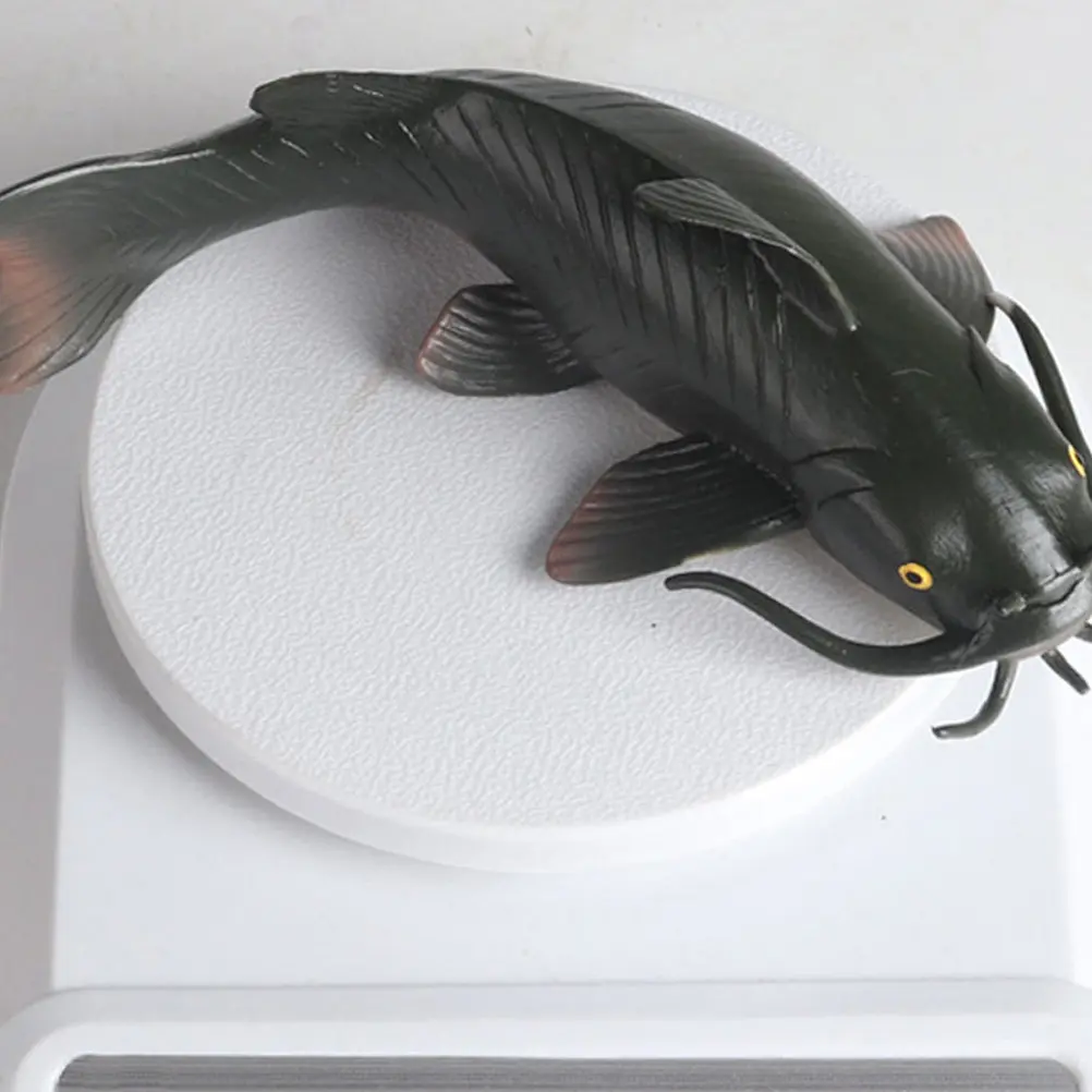 

2Pcs Lifelike Catfish Ornament Educational Kids Cognitive Fish Plaything Creative Artificial Fish Decor Creative Children Toy