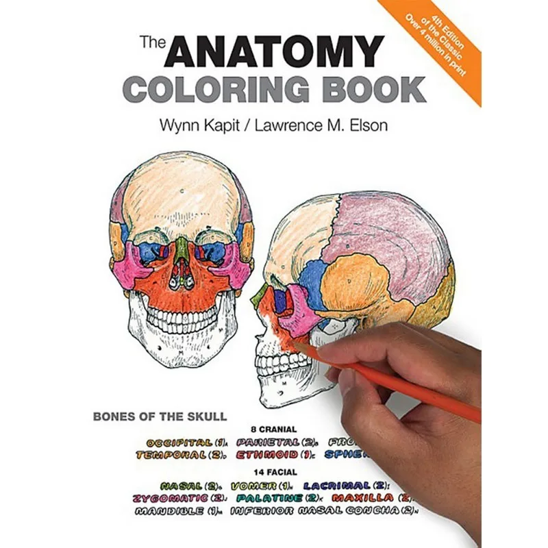 livro colorir anatomia o 01