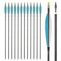 12pcs blue