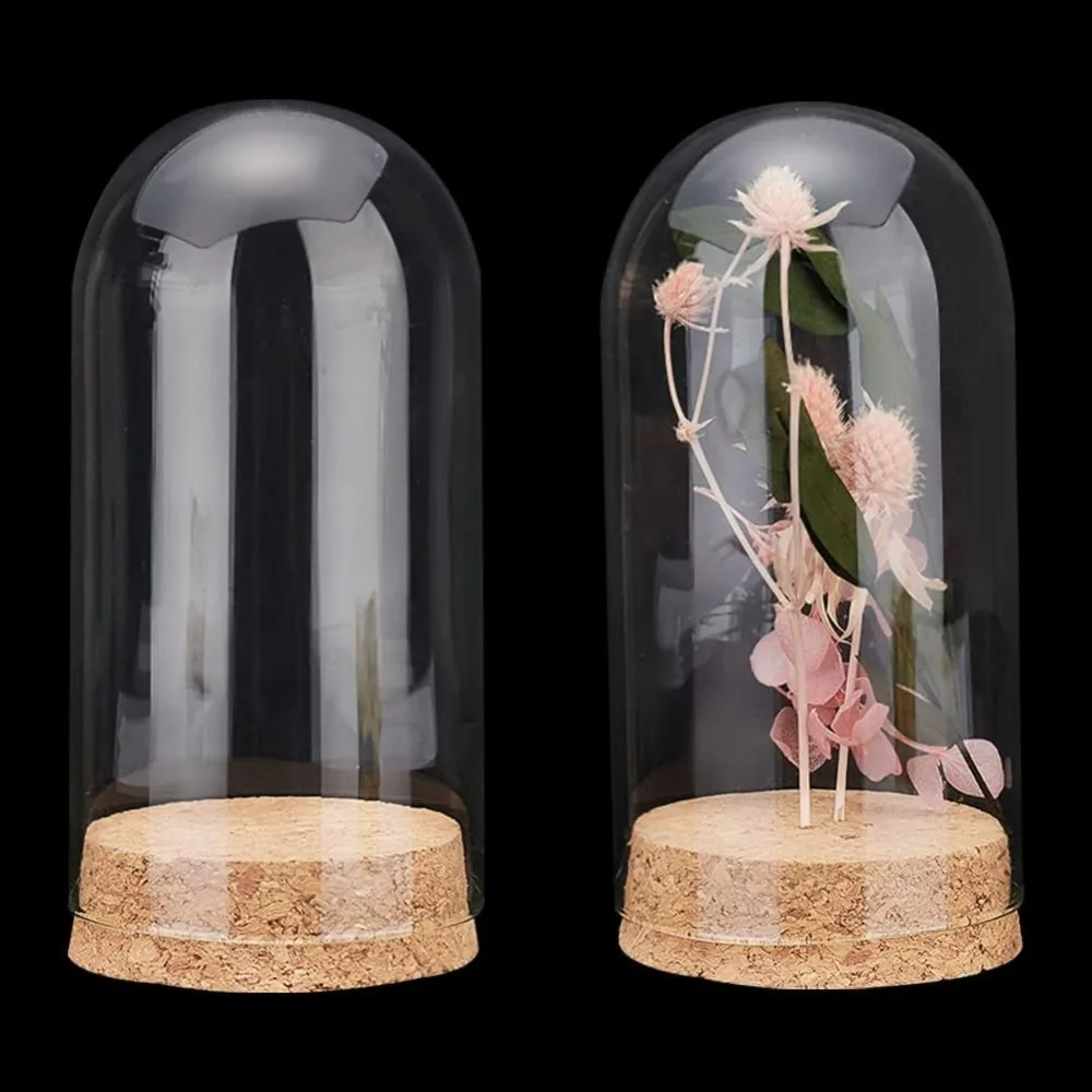 Clear Cloche Glass Dome Dome Display Case Bell Jar Cloche with Cork Base Decoration Bottles for Flower Storage Home Christmas