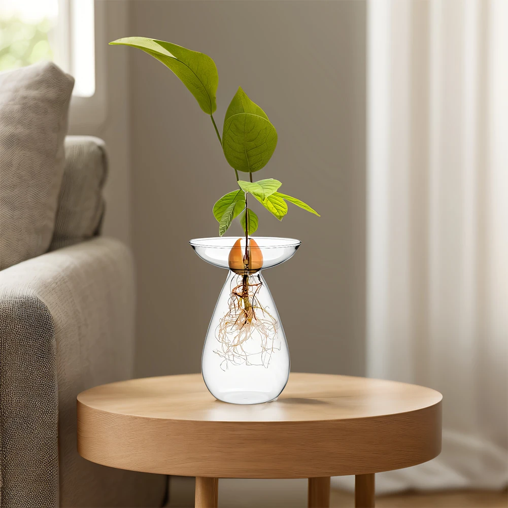 Avocado Hydrokultur Vase Transparente Pflanzenvermehrung Station Glas Avocado Baum Blumenvase für Gartenliebhaber