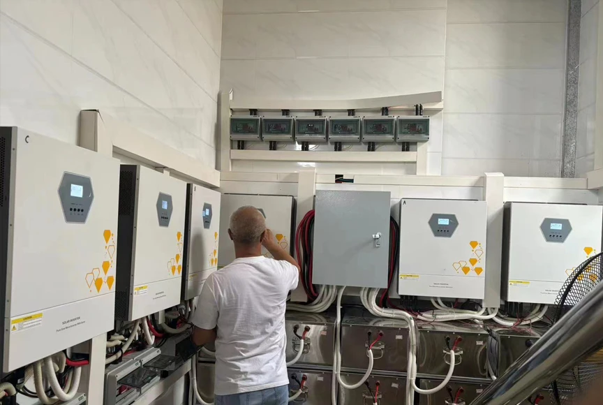 Elege 11KW Pure Sine Wave Solar Hybrid Inverter Built-in MPPT Rechargeable Power Changer with 240VAC Output Hybrid Solar System