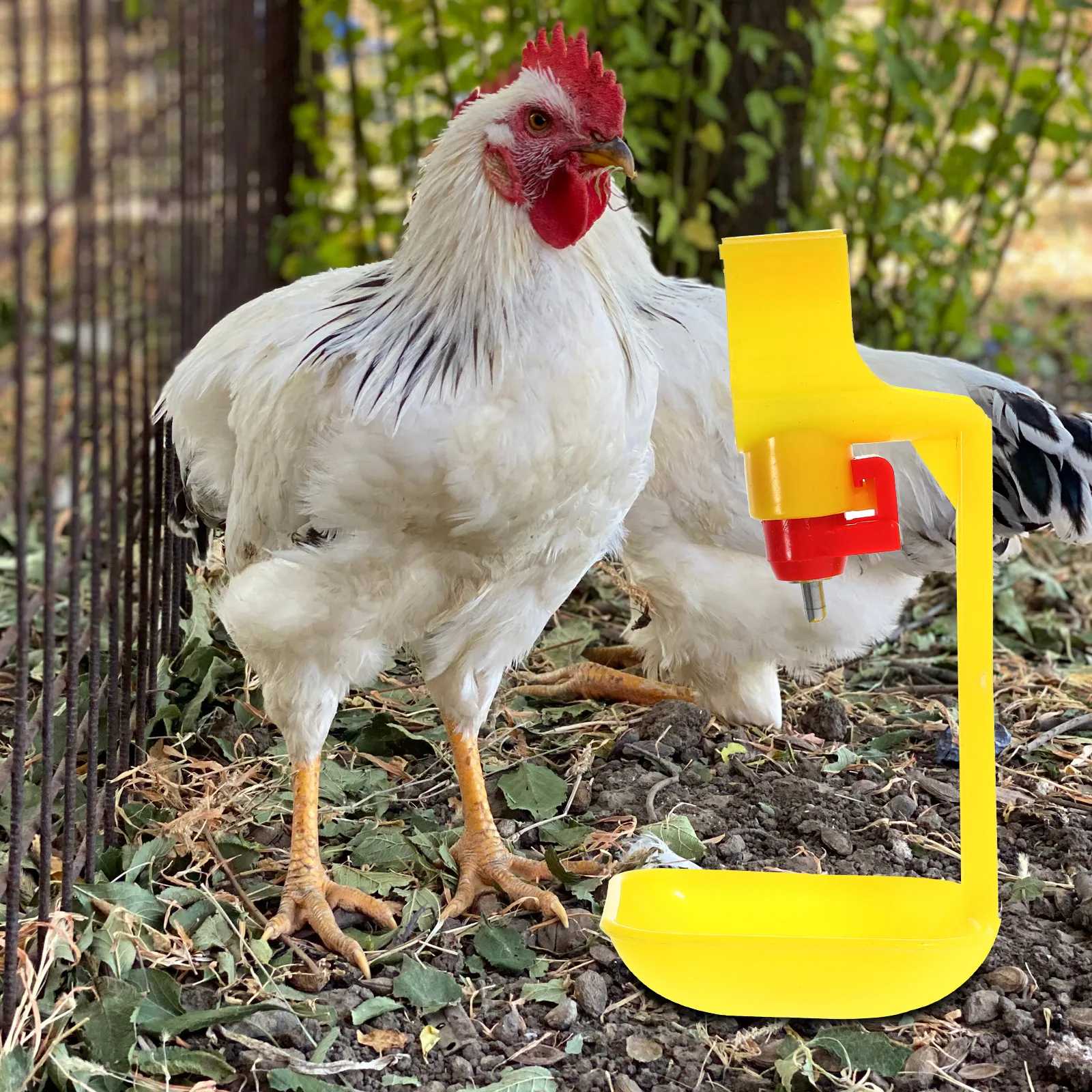

6pcs Chicken Steel Ball Drinking Fountain Water Dispensers Conjoined Cups Poultry Nipples Drinker Auto Refill Suitable Chickens