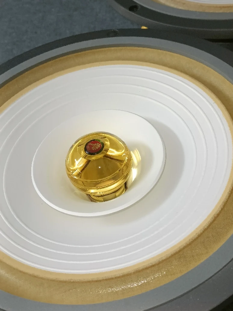 

LII AUDIO Crystal-10 HiFi Speakers 10 Inch Full Range Speaker Y40 Aerospace Magnet Loudspeaker HI-END 50-90W/8Ohm （1PCS）