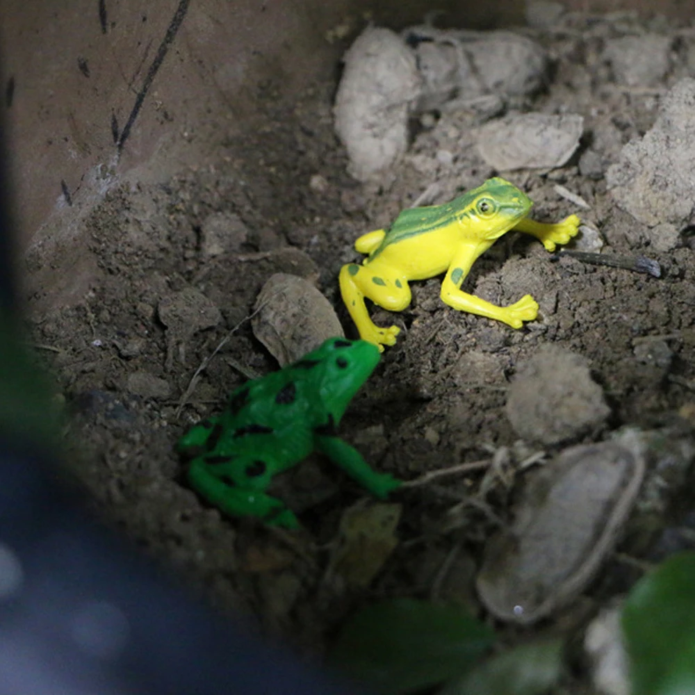 Petite Mini figurine jouets amusants animaux jouets réaliste grenouille figurines colorées assorties grenouilles modèle jouets