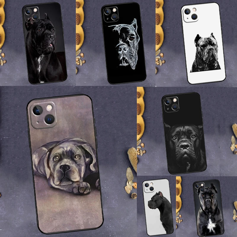 Cane Corso Italian … - image