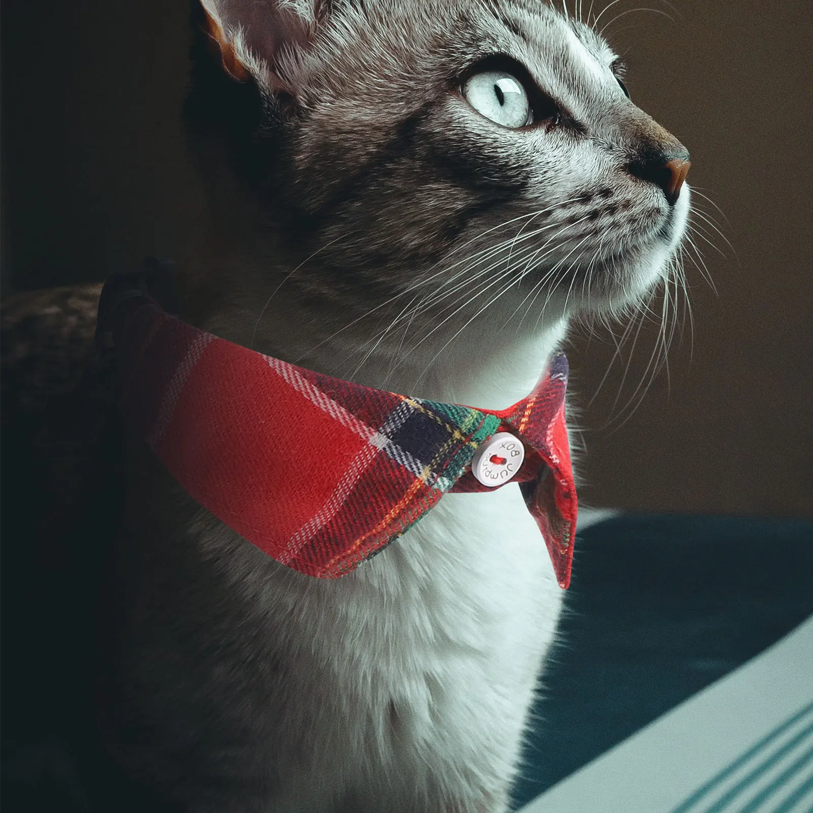 

Cat Collar Adjustable Plaid Design With Bell Cute Kitten Collars For Small Pets Comfortable Skin-Friendly Pet
