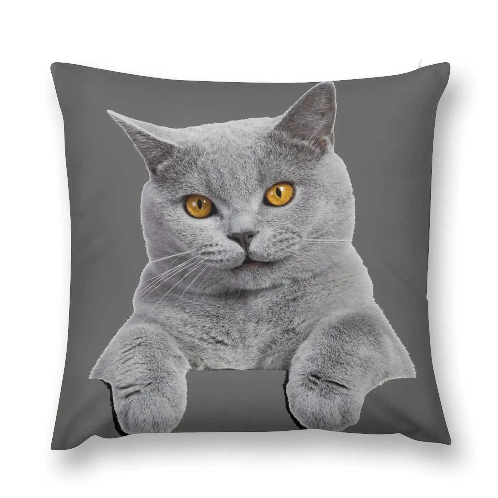 British Shorthair Cat Throw Pillow Christmas Pillow Cases Cushions pillow