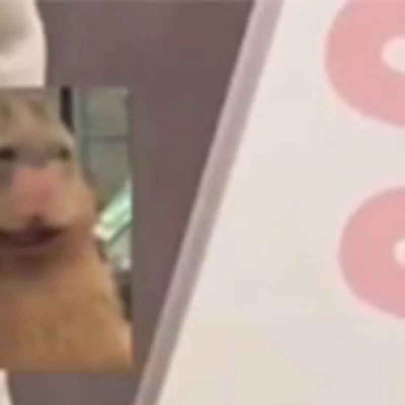 

Креативная мягкая плюшевая игрушка-капибара, пищащая игрушка, мультяшный брелок-подвеска для сумки, рюкзака, автомобиля, ключница