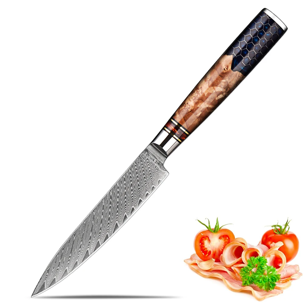

Professional 5 Inch Utility Knife Fruit Knife 67 Layer Damascus Steel Sharp Kitchen Paring Knife Honeycomb Blue Resin Handle