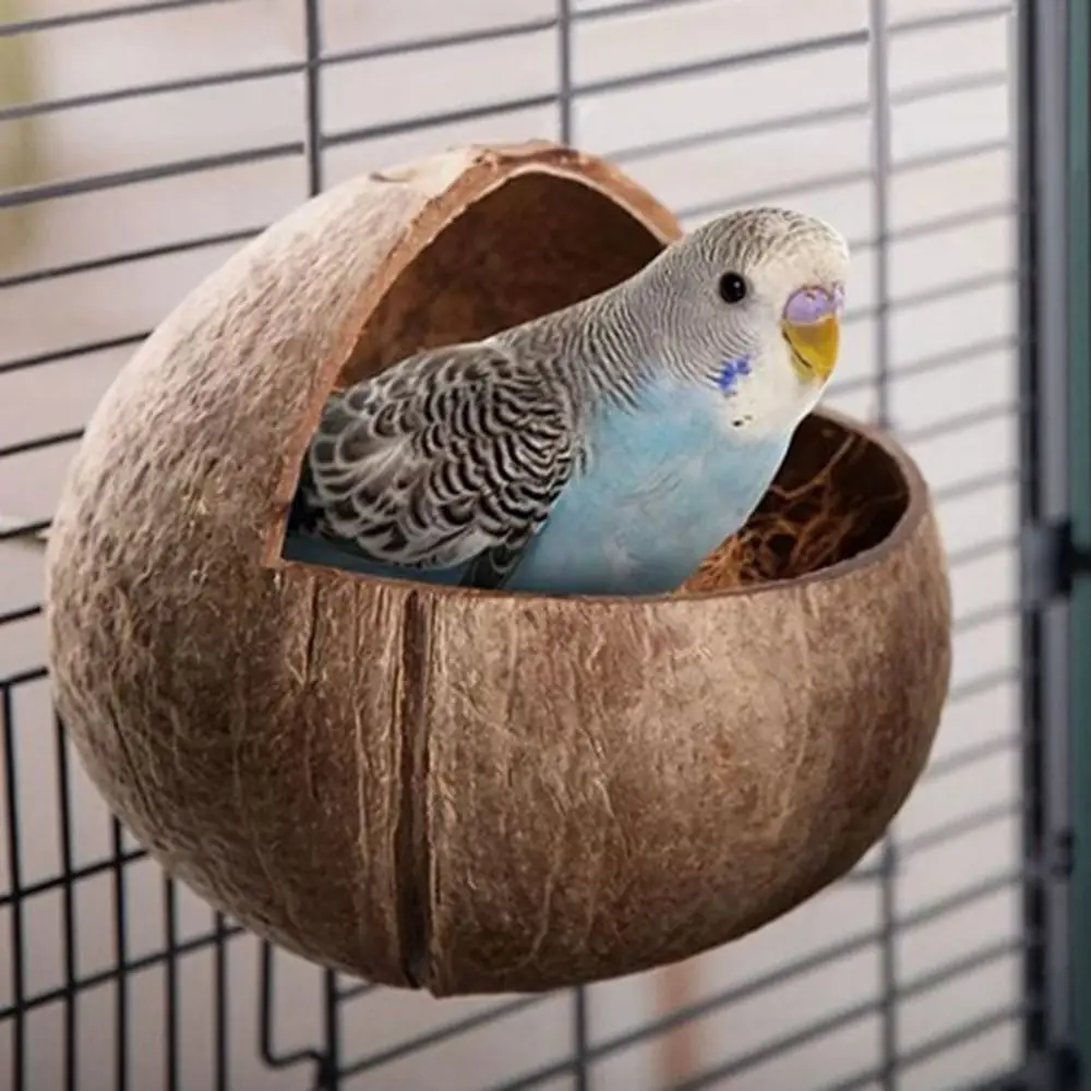 Thumbnail 3 - #26 Top 50 Hamster Habitats Worth Buying In 2026