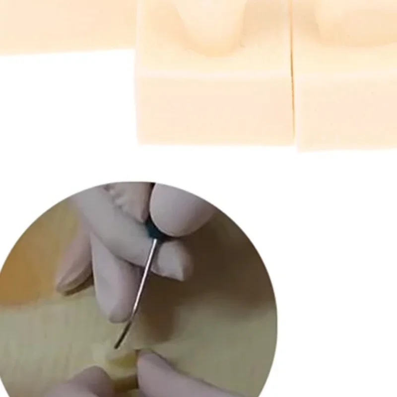 8pcs/Kit Dental Posterior Student Training Test Model Practice Composite Resin Filling Teeth Jaw Dentistry Equipment