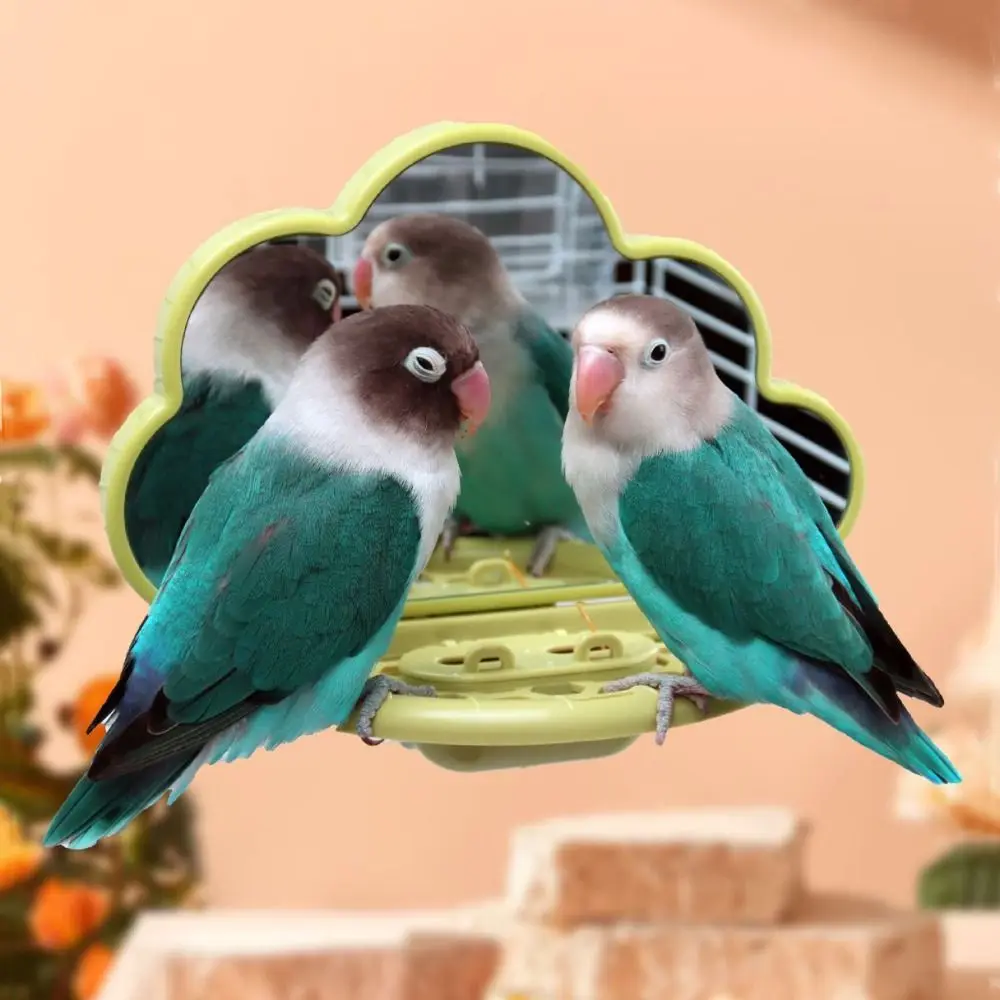 

Clouds Shape Bird Mirror With Perch Sturdy Save Space Bird Mirror Toy with Feeding Box Bird Perch Stand for Bird Cage