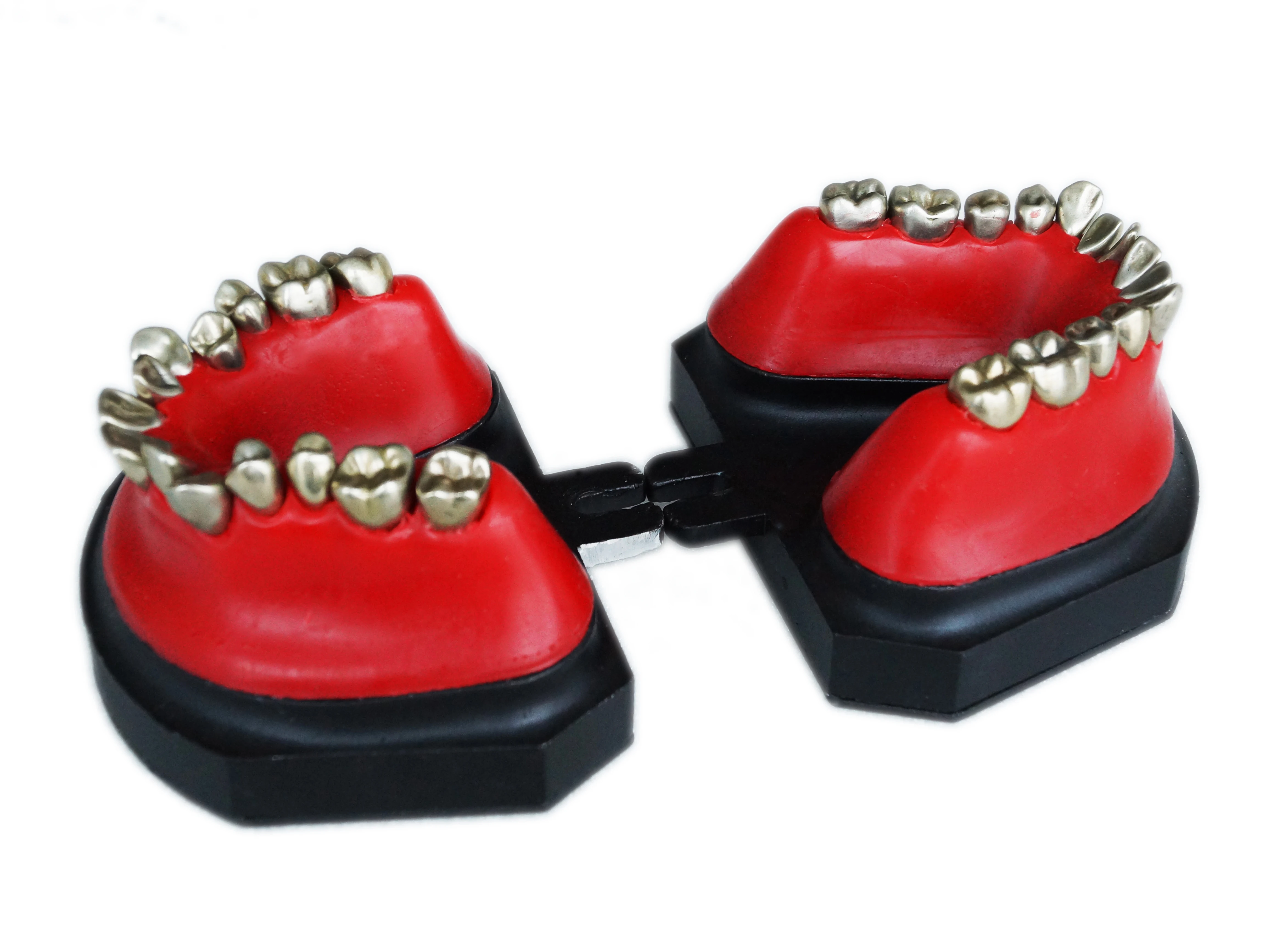 YTYIN نموذج تدريب محاكاة تقويم الأسنان مكون من نموذج أسنان مزخرف بالشمع وإطار فكي لتقويم الأسنان #2