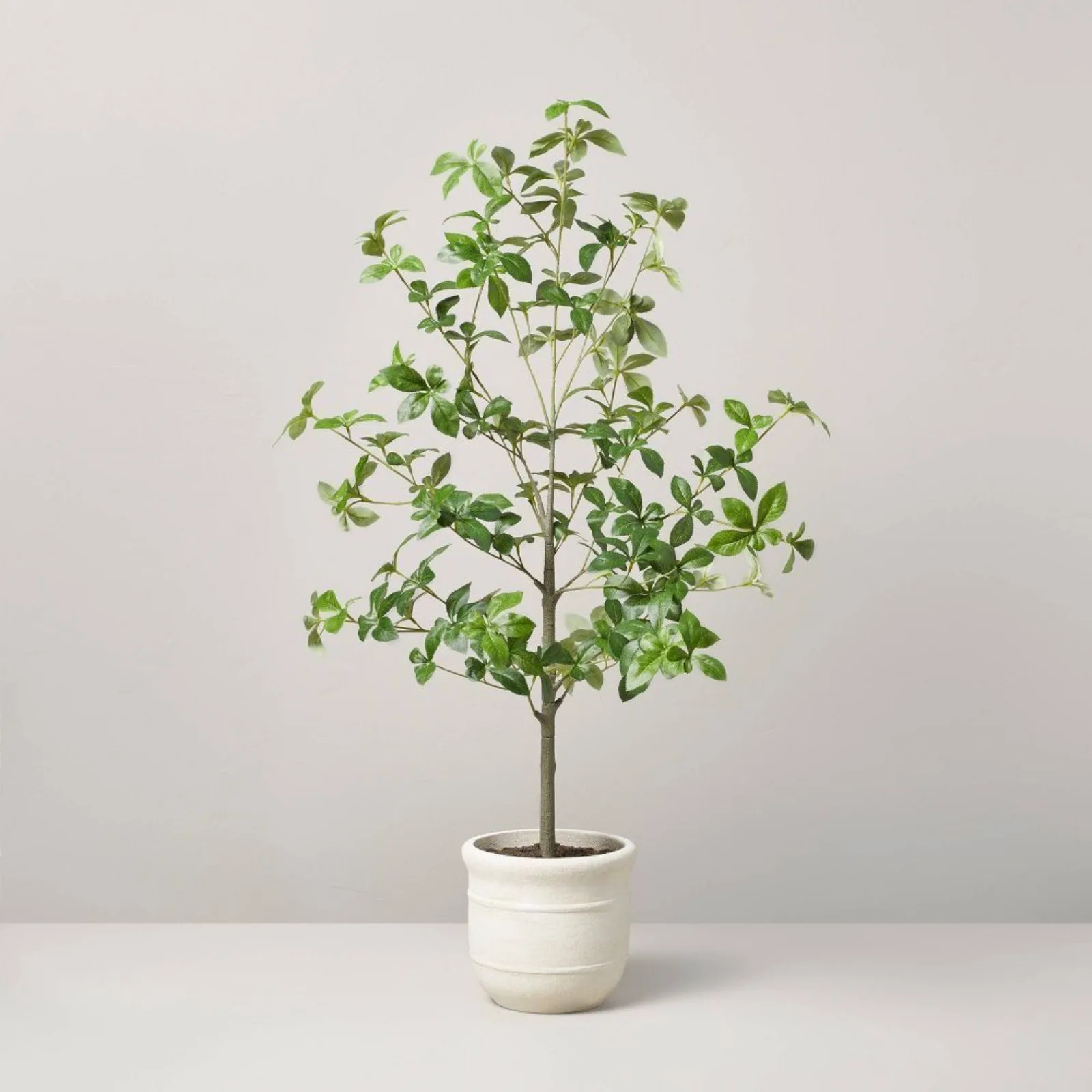 

33" Faux Gypsophila Leaf Plant -United States