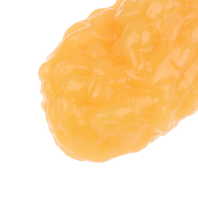 الدهون طبق الاصل نموذج الأنسجة الدهنية جسم الإنسان الدهون نسخة 1lb نموذج توضيحي الأنسجة الدهنية البشرية لدورة العلوم أخصائي التغذية