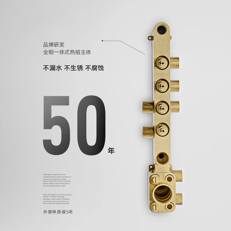 Type mural de douche dissimulé Allemagne Leddan