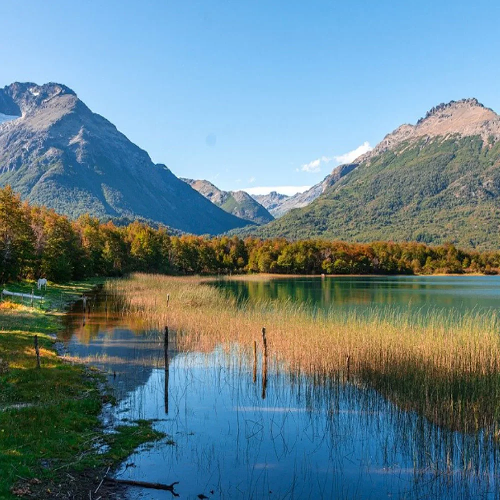 

Многоразовые картриджи T8501-T8509, 160 мл с постоянным чипом для принтера Epson SureColor P800 SC-P800