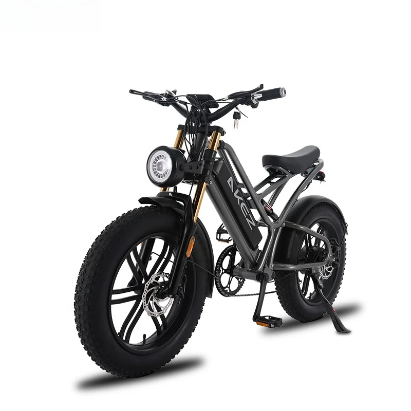 new 20-Inch Aluminum Alloy Soft-Tail Dual-Shock Off-Road Mountain Bike - Fat-Tire Snow-Ready Power-Assisted Version