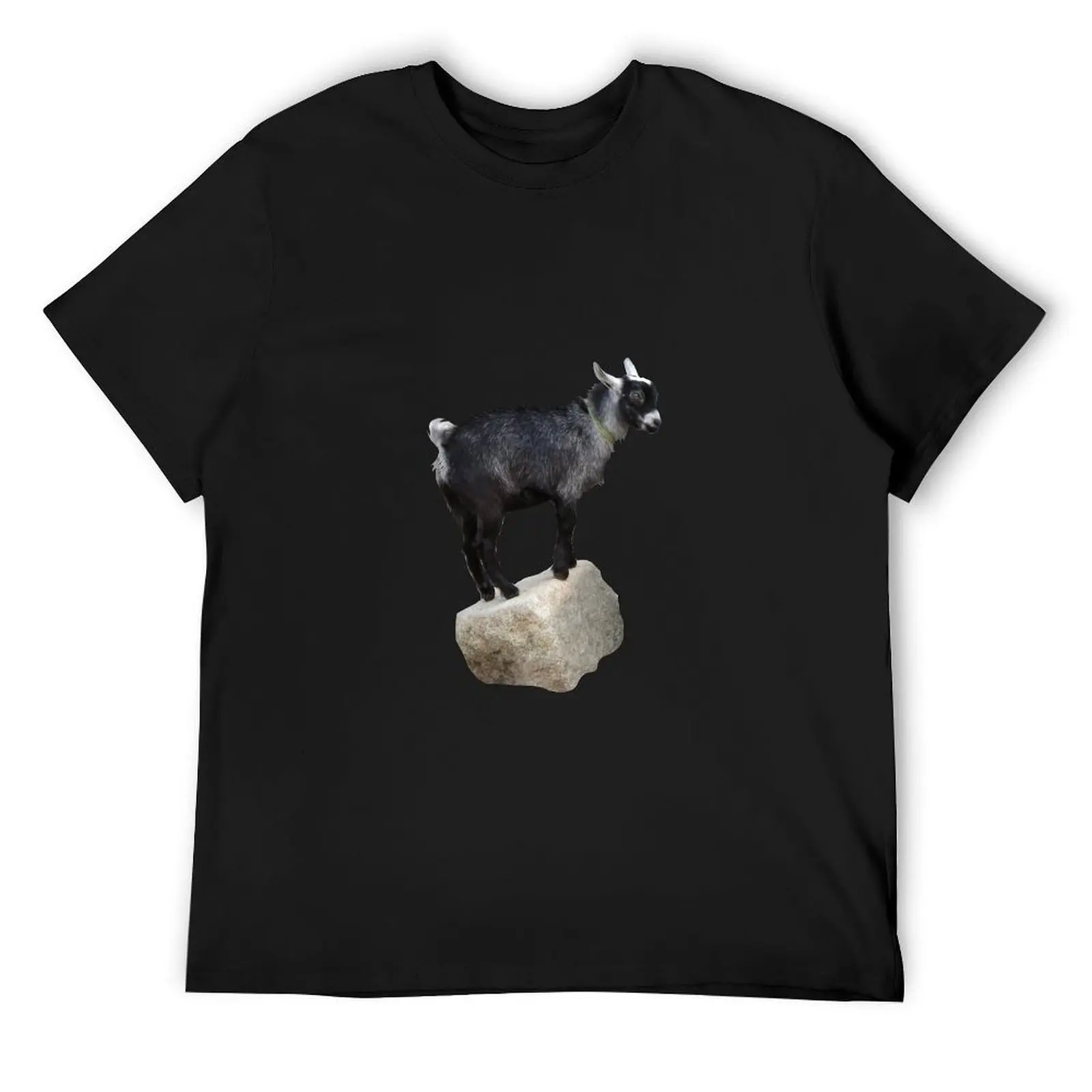 

Kid Rock T-Shirt basketball graphic tees fashion shirts Luxury man quick-drying oversized t shirts for men