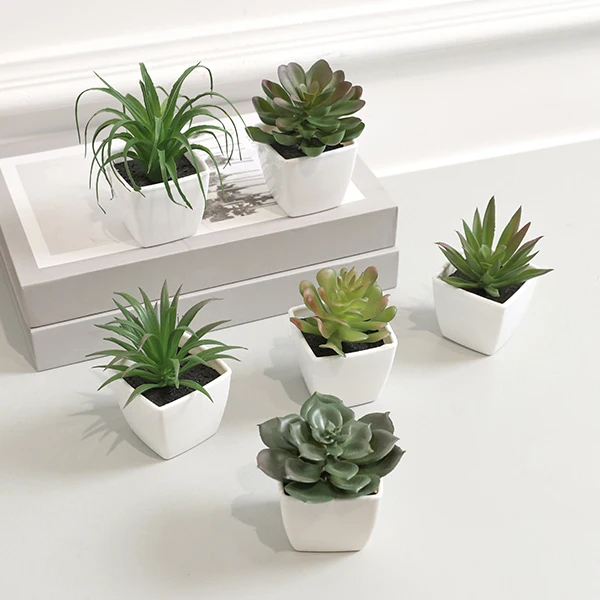 6PCS Home Decoration, Mini Evergreen Artificial Succulent Small Potted  Plants - AliExpress 15