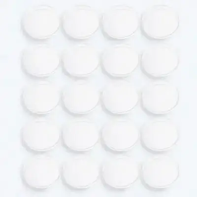 

30 Pcs Petri Dish Plastic for Culture Yeast Laboratory Dishes with Lids Transparent