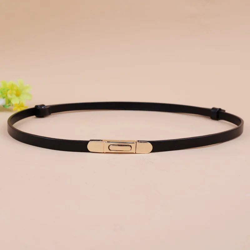 Cinturones, vestidos, suéteres, trajes y camisas de moda para mujer con cinturones finos, cinturones pequeños decorativos y versátiles.